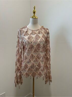 Elegant Rose Gold Sequin Fringe Top – Statement Evening Glam ✨